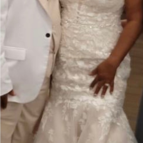 Champagne rose color lace wedding gown worn once. Size 10/12. Lace white veil - Picture 2 of 11